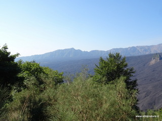 nte Rinatu-15-09-2019 10-08-48